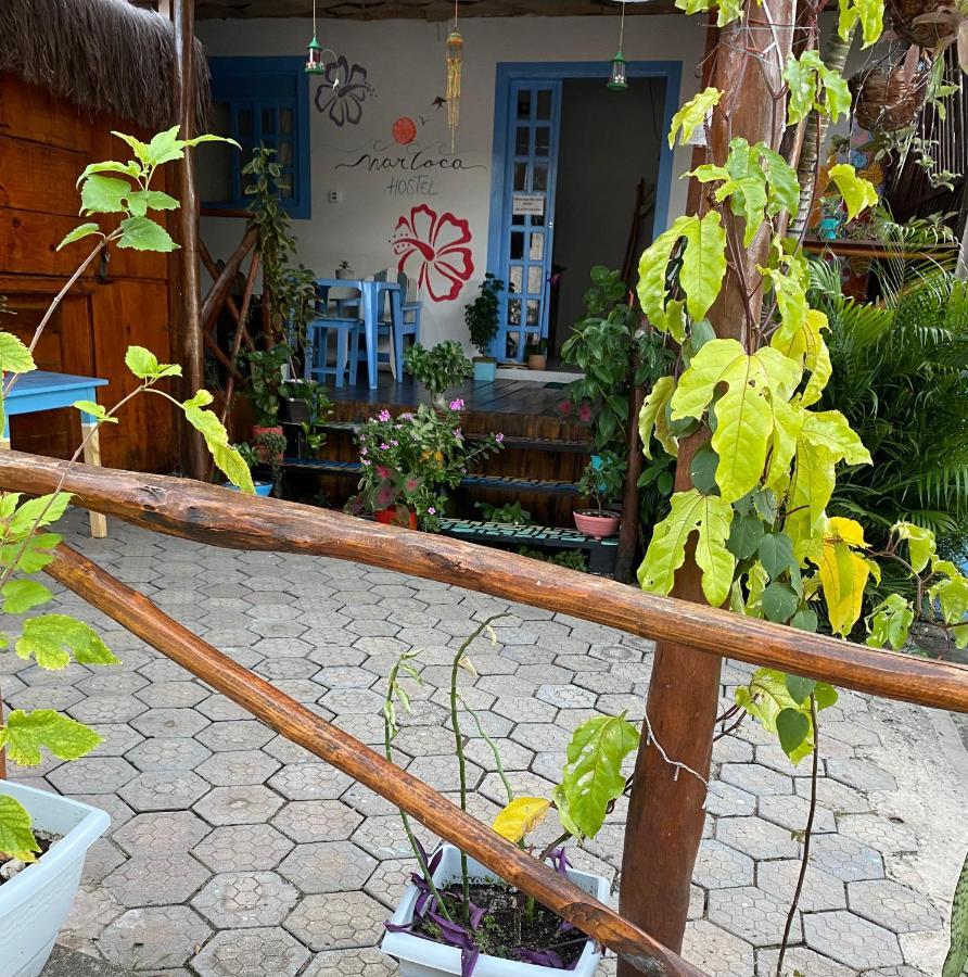 Aurora Hostel Praia de Pipa 外观 照片