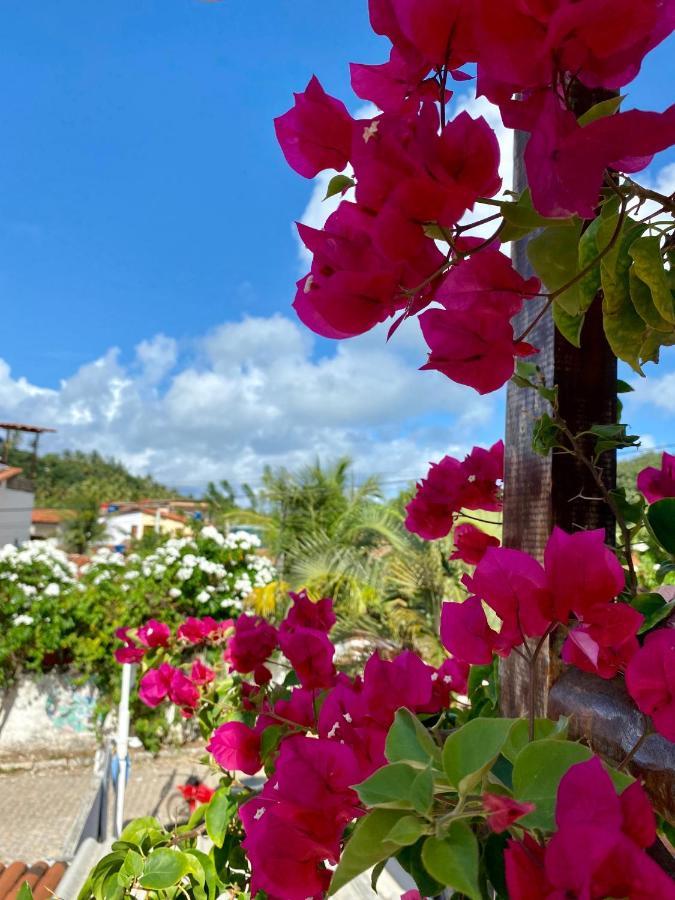 Aurora Hostel Praia de Pipa 外观 照片